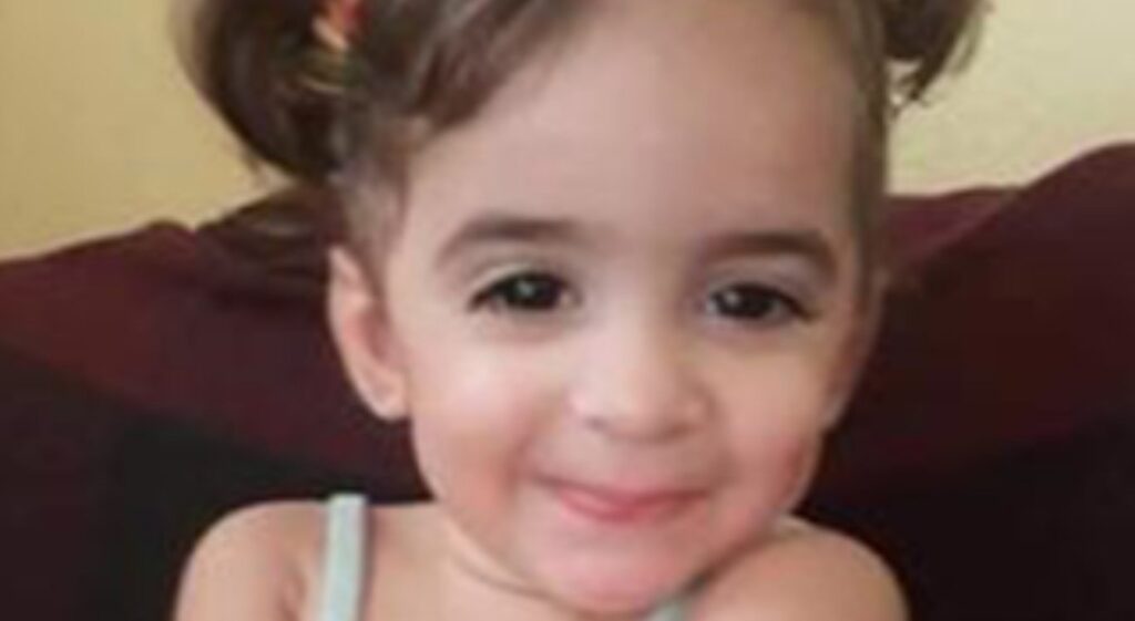 Menina de 3 anos morre após ser picada por cobra no Agreste de PE