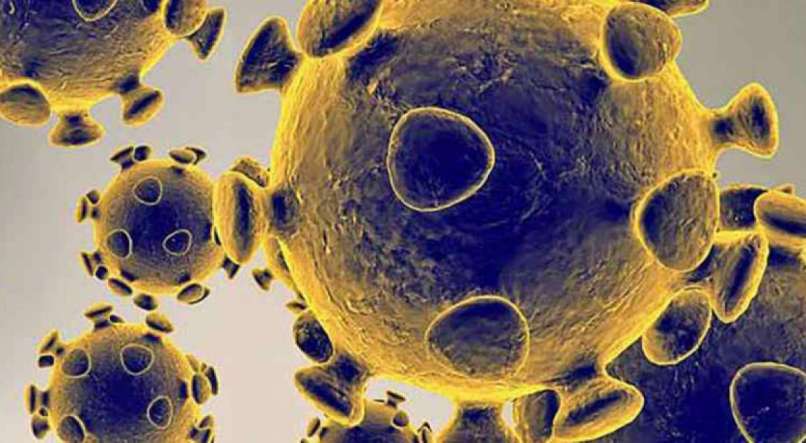 Coronavírus: Pernambuco tem novo recorde diário com confirmação de mais 13 mortes e totaliza 960 pacientes infectados