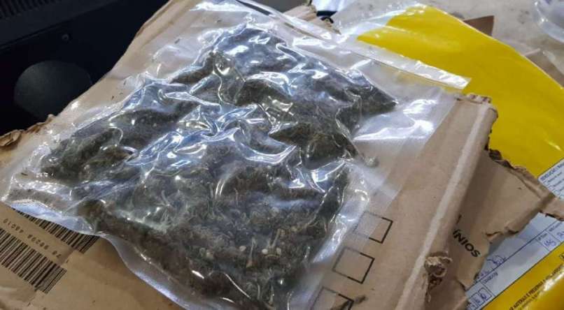 Polícia Federal apreende drogas que haviam sido enviadas pelos Correios em Pernambuco
