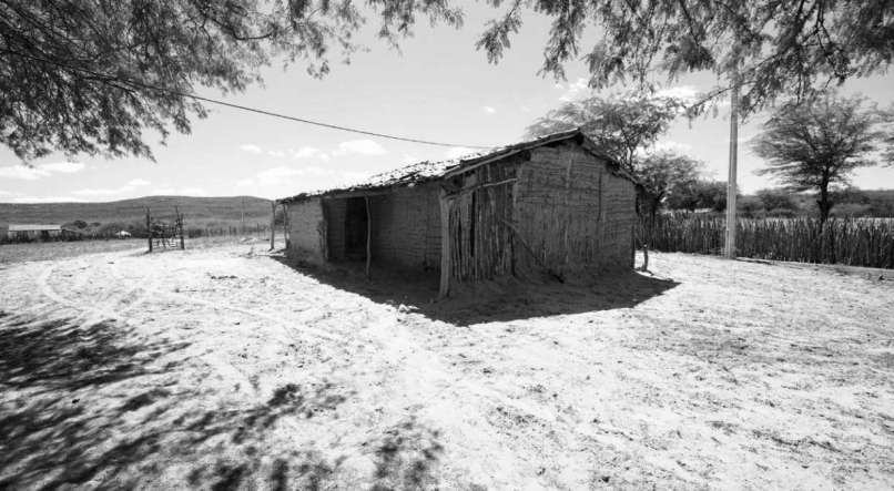 Projeto social distribui testes de coronavírus e alimentos para comunidades do Sertão de Pernambuco