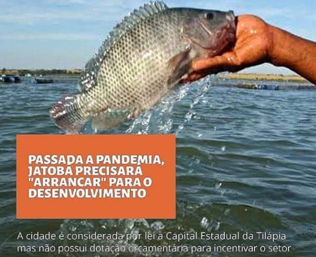 “Passada a pandemia, Jatobá precisará arrancar para o desenvolvimento”, declara o vereador Zé Dantas