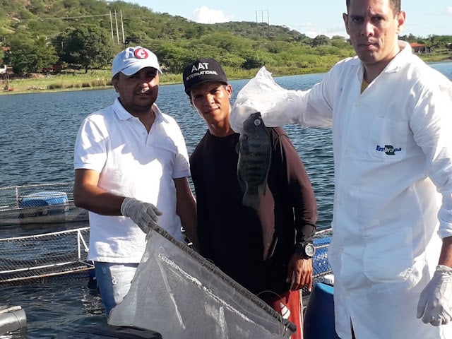 Petrolândia: Vereador Dedé de França articula com Senador FBC, vinda de pesquisadores da Embrapa para levantar pesquisa sobre mortalidade de peixes nos tanques das Associações de Piscicultura da região