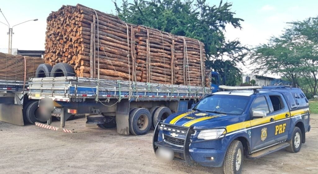 Operação ambiental apreende madeira e armas no Sertão pernambucano