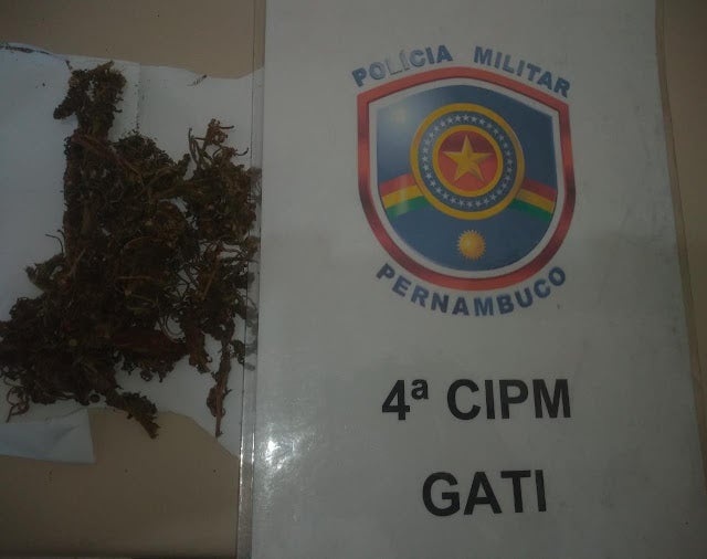 PM apreende quantidade de maconha em Jatobá, no Sertão de Pernambuco