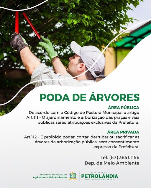 Nota da Prefeitura de Petrolândia sobre Poda de Árvores em área pública
