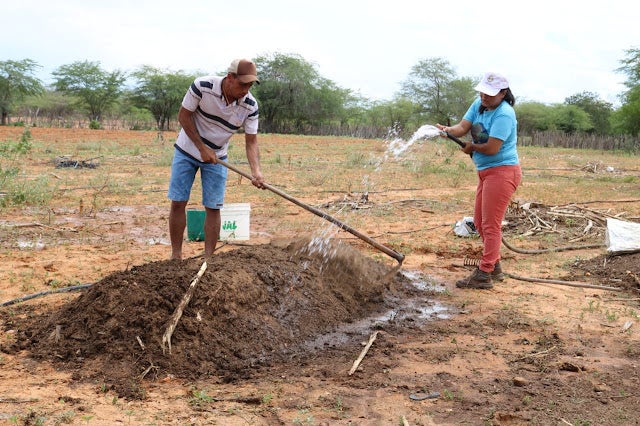 Dia de Campo é promovido no Projeto Sisteminha, em Inajá (PE)