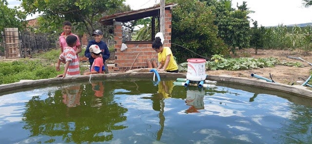 Projeto Sisteminha Embrapa avança na Zona Rural de Inajá (PE)