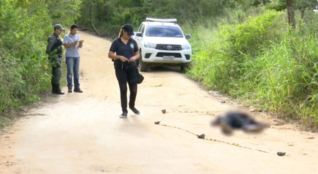 Corpo de homem é encontrado carbonizado no agreste de Pernambuco