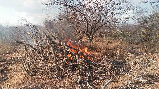 Incêndio próximo ao assentamento Juventude é registrado no município de Orocó