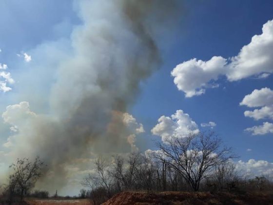 Mais um incêndio em área de caatinga no Sertão de Pernambuco