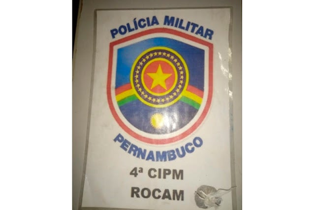 PM detém homem por posse ilegal de entorpecente em Petrolândia, Sertão de PE