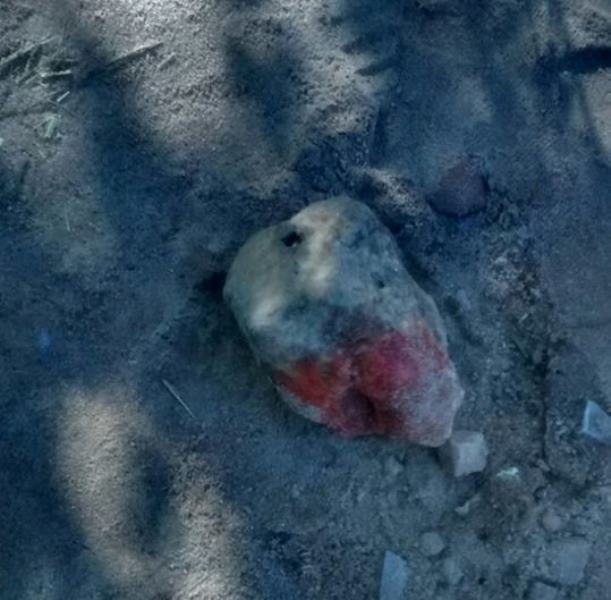 Homem é assassinado a pedradas na zona rural de Floresta, no Sertão de PE