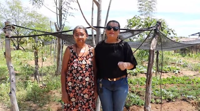 Claúdia Leal da Associação PROVIDA conta história de Dona Saúde e família, que estão sendo beneficiados com o Sisteminha Embrapa, em Inajá – PE [Vídeo]