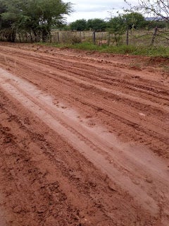 Moradores do Assentamento Antônio Conselheiro I, na Zona Rural de Tacaratu, pedem reparo em estrada após chuvas [Vídeo]