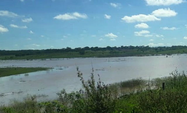 Chuva retira Barragem de Marrecas do colapso em Custódia, PE