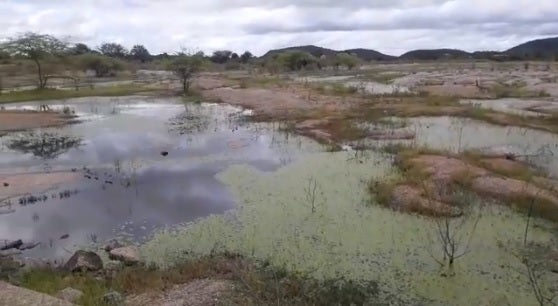 “Barragem de Serrinha começa a sangrar”, diz Defesa Civil de Floresta-PE
