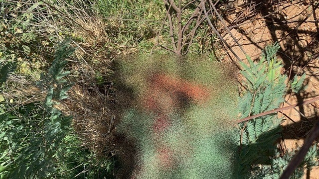 Juazeiro-BA: Homem é encontrado morto e com sinais de violência