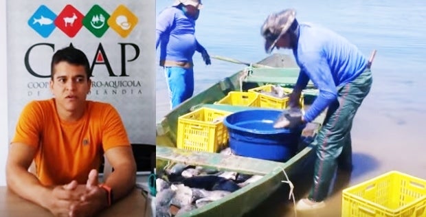 Cooperativa Agro-Aquícola de Petrolândia – CAAP, concorre a projeto para construção de pequena unidade de beneficiamento de pescado [Vídeo]