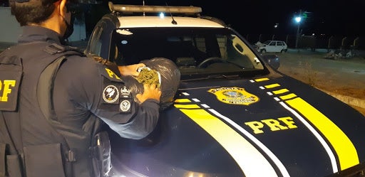 Sertão: Motorista tenta atropelar agentes da PRF e é detido com dois kg de maconha em Cabrobó