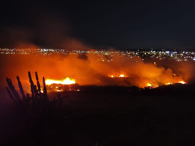 Incêndio atinge área de vegetação no Mirante da Serrota, em Petrolândia-PE