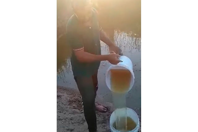 Em vídeo morador da zona rural de Ibimirim abastece baldes de água para consumo em barreiro poluído