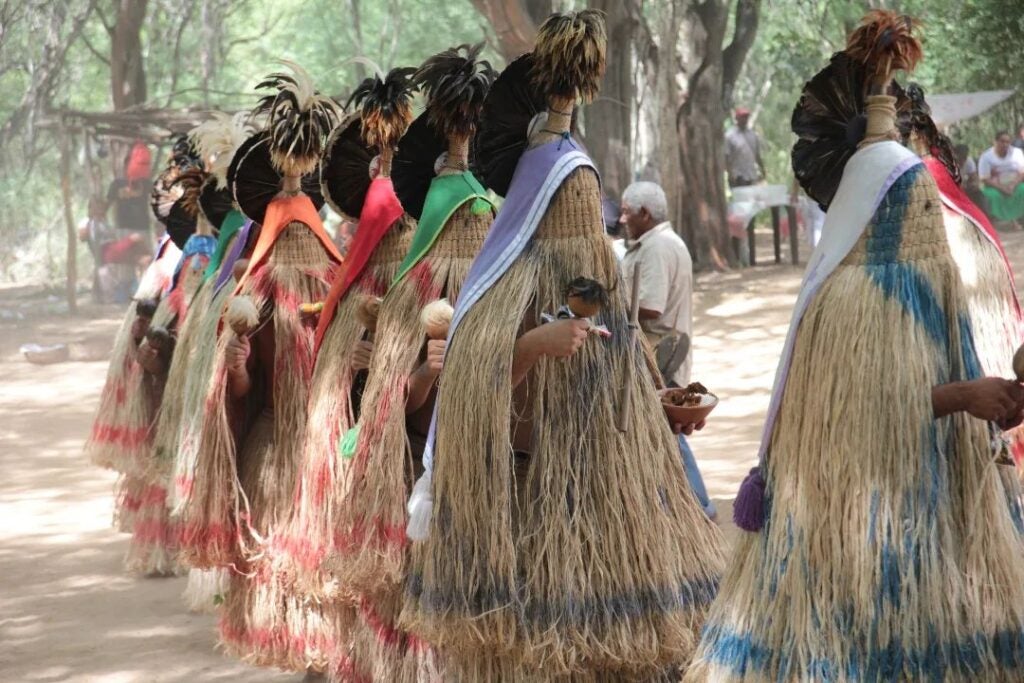 Ciclo de celebração e resistência: a Corrida do Imbu do povo Pankararu, entre a zona rural de Tacaratu e Jatobá