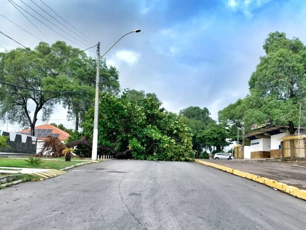 Chuva e vento forte causam acidentes no trânsito e derrubam árvore em Paulo Afonso
