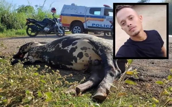 Mais uma acidente com animal tira a vida de jovem na PE 275