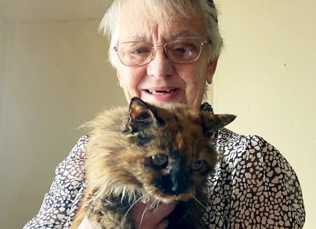 Aos 32 anos, gata pode conquistar título de felino mais velho do mundo Aos 32 anos, gata pode conquistar título de felino mais velho do mundo