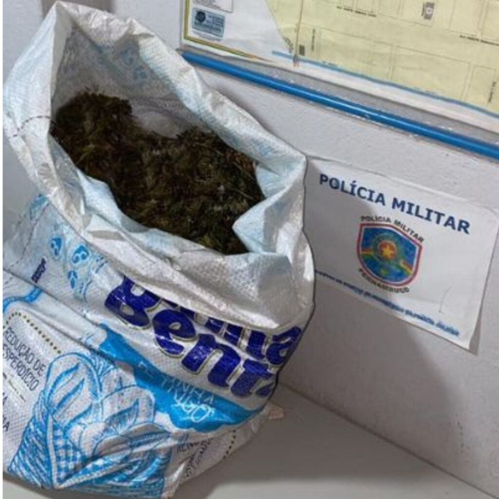 Polícia apreende grande quantidade de maconha, na zona rural de Inajá, no Sertão de PE