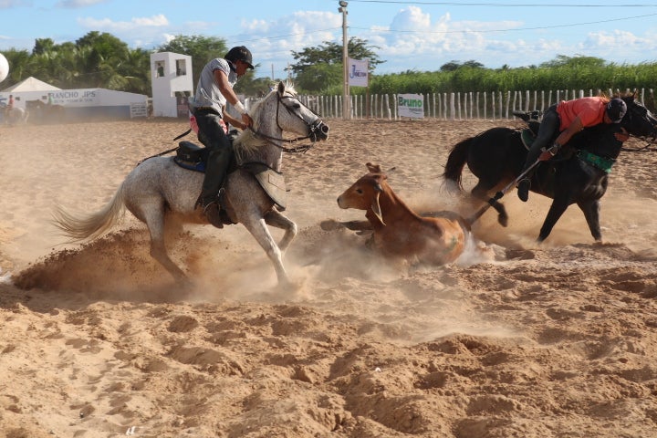 Vaquejada do Parque JPS: 2ª Edição que Sacudiu Petrolândia com Emoção, Premiação e Tradição! Veja fotos e vídeo Vaquejada do Parque JPS: 2ª Edição que Sacudiu Petrolândia com Emoção, Premiação e Tradição! Veja fotos e vídeo
