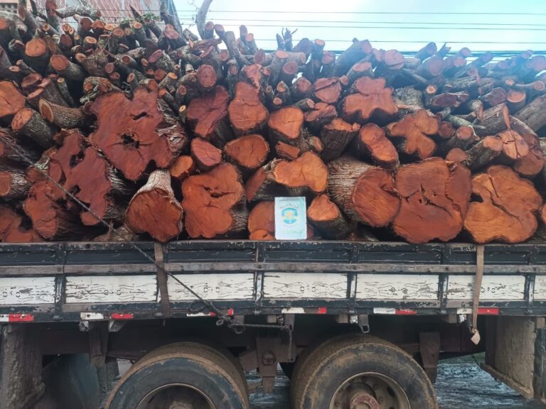 PM flagra crime ambiental e apreende carga de madeira