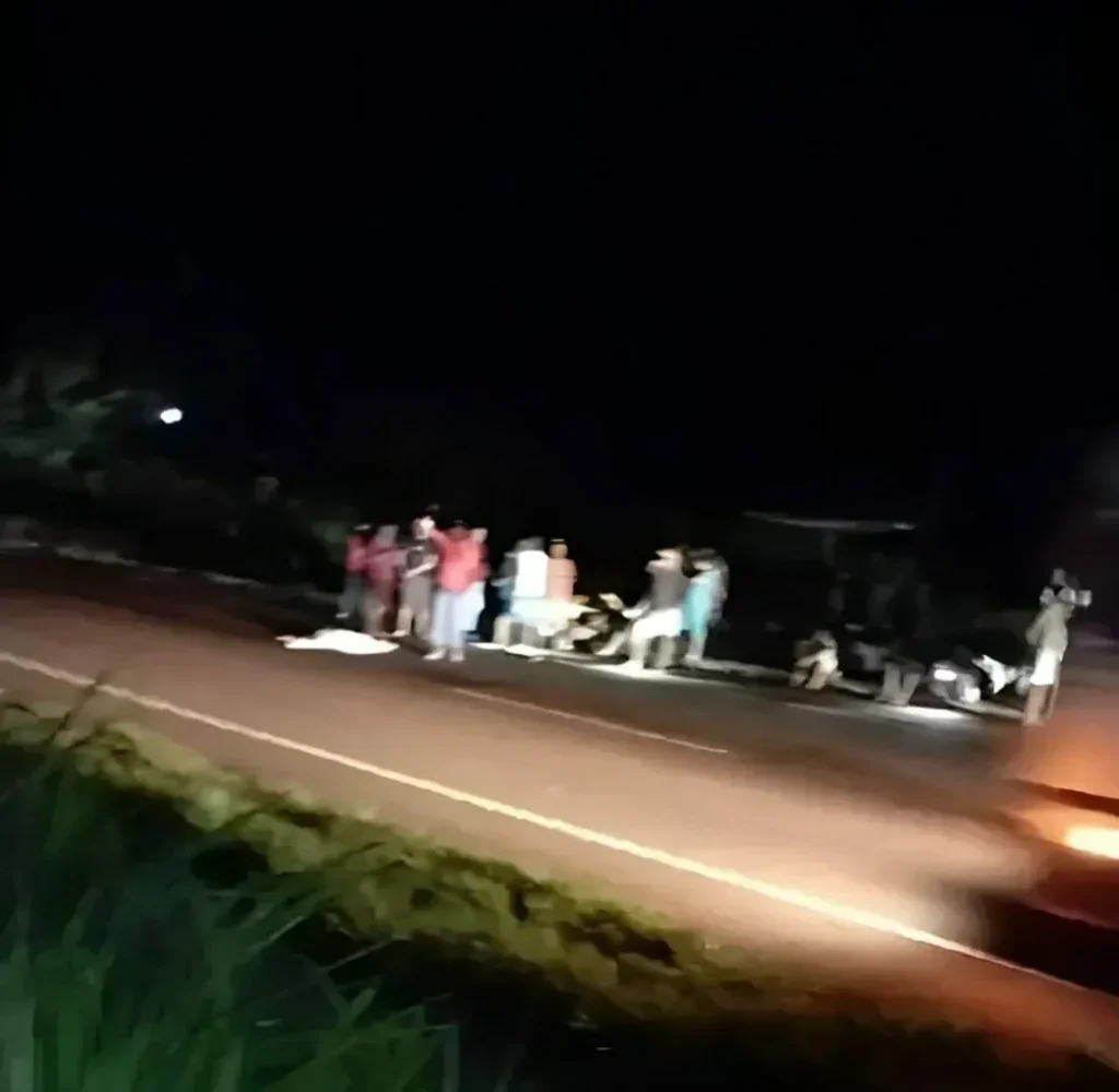 Idoso morre após ser atropelado por carreta na BR-101, em Pernambuco