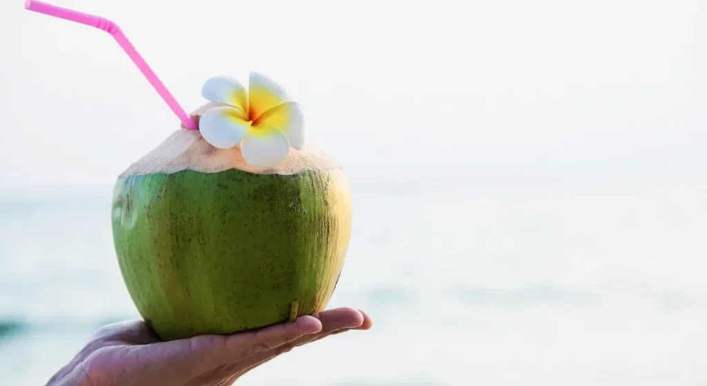 Água de coco: hidratação rápida e mais potássio que a banana; saiba os benefícios da bebida