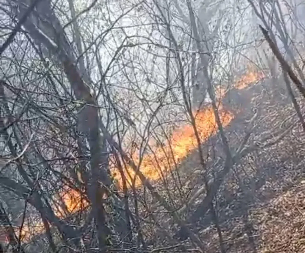 Incêndio atinge área de caatinga na Serra da Bananeira em Cabrobó