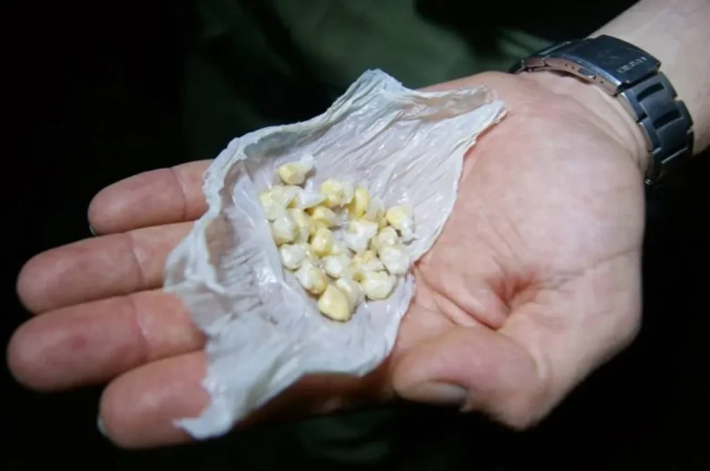 Homem é detido por posse de substâncias ilícitas em Paulo Afonso