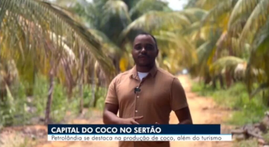 Turismo e Tradição: TV Asa Branca Destaca Produção de Coco em Petrolândia, a Capital da Coconicultura em Pernambuco; VEJA VÍDEO Turismo e Tradição: TV Asa Branca Destaca Produção de Coco em Petrolândia, a Capital da Coconicultura em Pernambuco; VEJA VÍDEO
