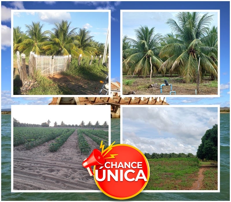 Venda de um Lote com 10 Hectares Próximo ao Rio São Francisco em Petrolândia-PE se Transforma em Oportunidade Única Venda de um Lote com 10 Hectares Próximo ao Rio São Francisco em Petrolândia-PE se Transforma em Oportunidade Única