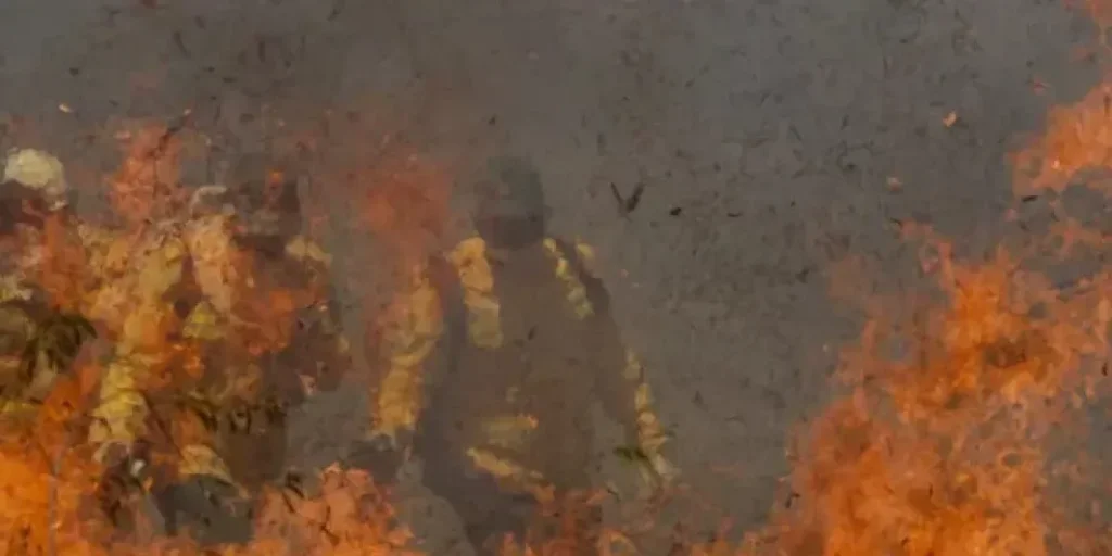 Governo libera R$ 137 milhões para combate a incêndios no Pantanal Governo libera R$ 137 milhões para combate a incêndios no Pantanal