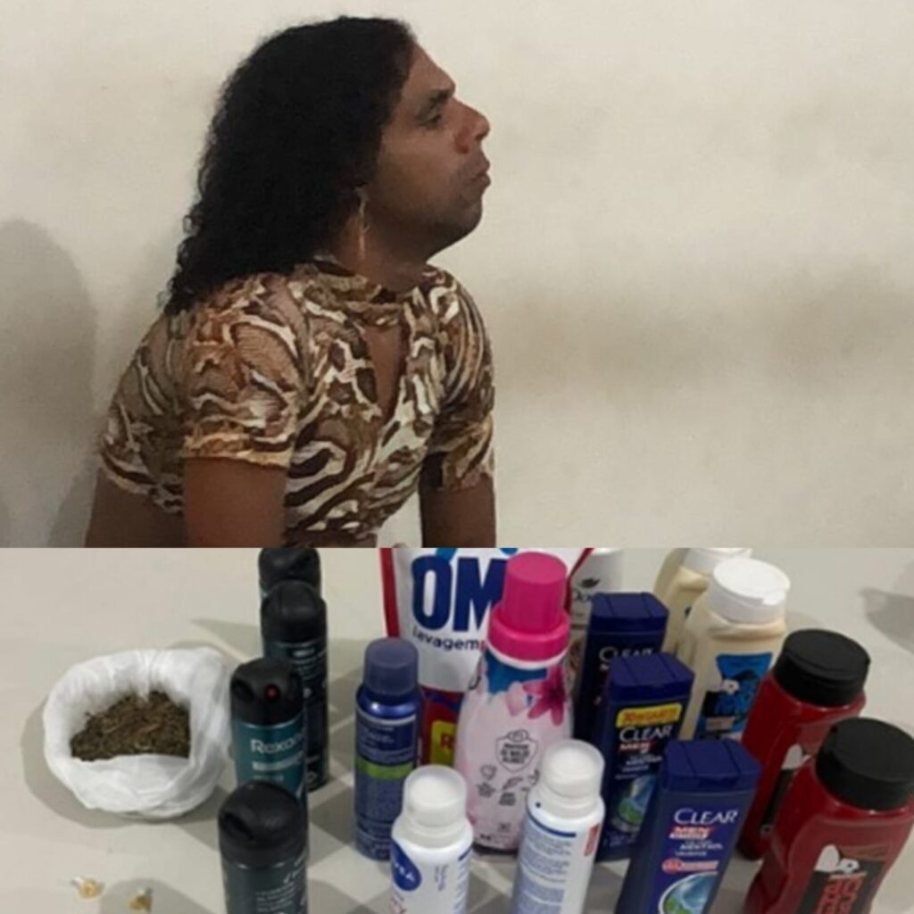 Furto a Estabelecimento Comercial e Posse de Entorpecente Terminam em Prisão de Traficante em Petrolândia-PE; VEJA VÍDEO! Furto a Estabelecimento Comercial e Posse de Entorpecente Terminam em Prisão de Traficante em Petrolândia-PE; VEJA VÍDEO!