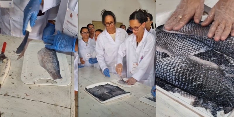 Jatobá-PE, Realiza Curso de Curtimento de Couro de Tilápia para Artesãs em Parceria com UNEB e Prefeitura Municipal Jatobá-PE, Realiza Curso de Curtimento de Couro de Tilápia para Artesãs em Parceria com UNEB e Prefeitura Municipal