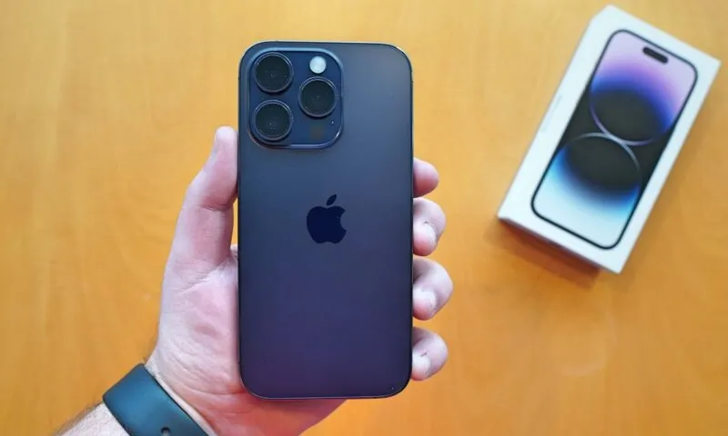 Leilão da Receita Federal reúne iPhones 14 Pro Max por R$ 800 e lote de R$ 2 milhões em relógios Leilão da Receita Federal reúne iPhones 14 Pro Max por R$ 800 e lote de R$ 2 milhões em relógios