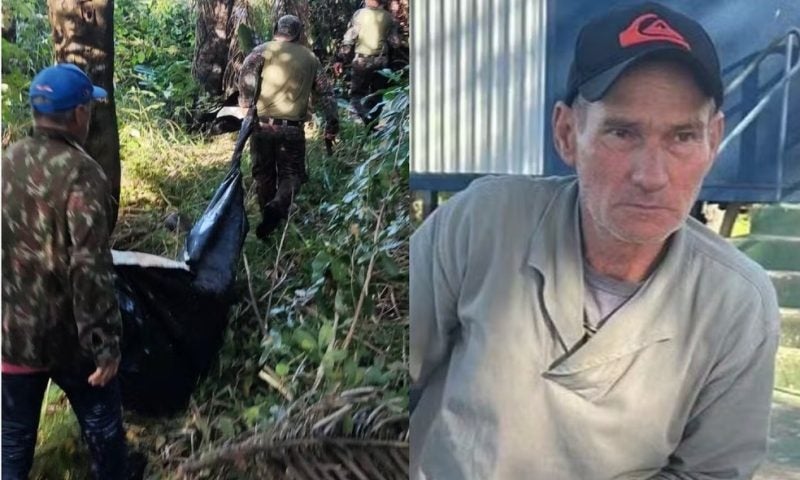 Partes de corpo de homem atacado por onça são achadas em toca no Pantanal