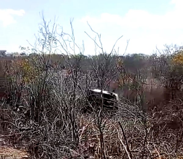 Motorista tenta desviar de bode e capota carro na PE-390 em Floresta, PE