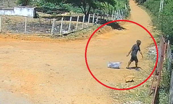 Câmeras flagram homem abandonando animal morto em via pública na estrada do Sítio Serrota, em Petrolândia