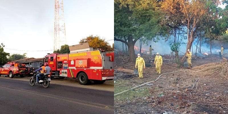 Vegetação próxima à BR-316 em Petrolândia é atingida por incêndio de grandes proporções