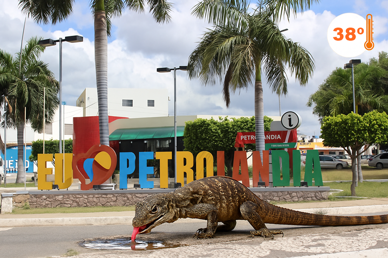 Calor intenso continua em Petrolândia: termômetros chegam a 38°C e previsão indica dias de sol forte e baixa umidade