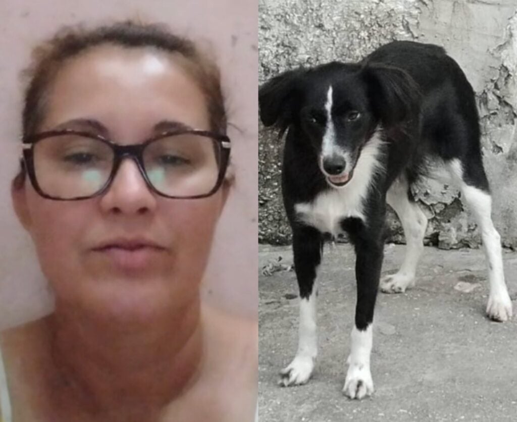 Tutora grava vídeo, oferece recompensa de R0,00 e pede ajuda para encontrar cadela desaparecida em Petrolândia