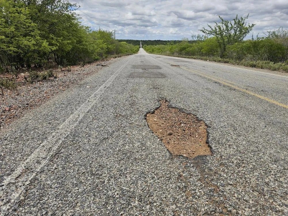 Buraqueira e animais soltos representam risco para motoristas na PE-390 em Floresta
