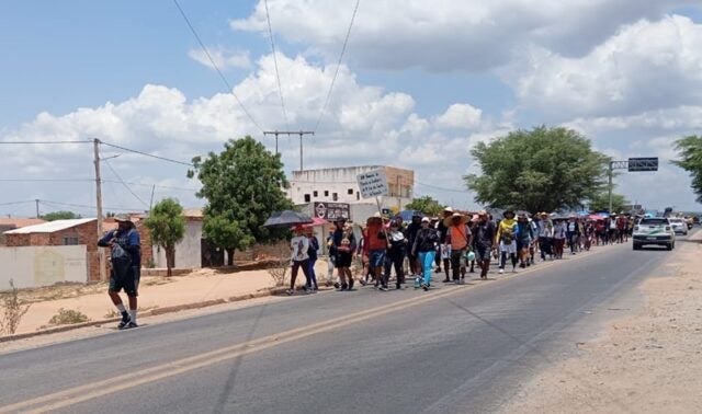 WhatsApp Image 2026-01-31 at 11.31.49